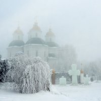 Родной город :: Роман Савоцкий