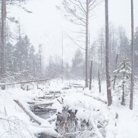 Снегопад :: Андрей Хлопин