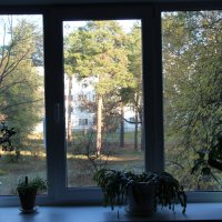 Моё окно :: Олег Афанасьевич Сергеев