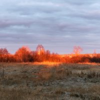 УТРЕННИЙ СВЕТ :: Володька Завитушкин