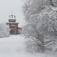 Блуждал меж ветвей восхищенный взгляд... :: Ирина Данилова