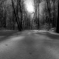 В лунном сиянии снег серебрится.. :: Андрей Заломленков