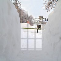 Ну и кому там в феврале снега не хватает? :-) :: Андрей Заломленков