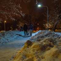 Пргулки по Зимнему Парку :: юрий поляков