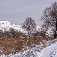 Загородная прогулка :: Игорь Сикорский