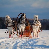 русская тройка :: Елизавета Мещерская