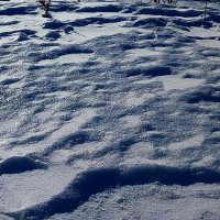 Серебром искрится снег :: Елена Павлова (Смолова)