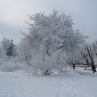 Ровно год назад... :: Наталья Герасимова