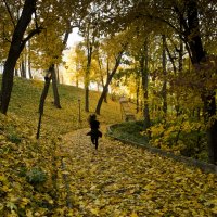 Осенний марафон. :: Андрей Бойко