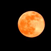 Её Величество Красная Луна в Гродно 19.02. 2019 :: Мария 