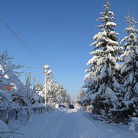 Январь.....Прекрасная пора..... :: Валентина Жукова