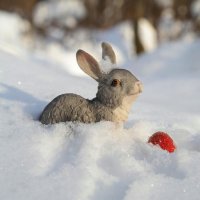 И зайцы уж почуяли весну..:-) :: Андрей Заломленков