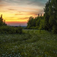 Вечер  седых одуванчиков :: Владимир Макаров