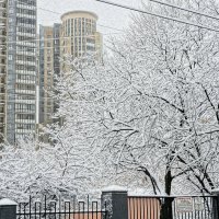 Пока еще зима :: Алексей Виноградов