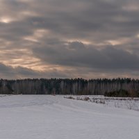 Пасмурно и временами снег :: Игорь Сикорский