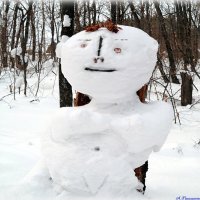 По мере взросления ребёнка строение тела снежной бабы становится всё более детальным :-) :: Андрей Заломленков