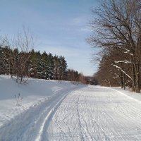 На лыжных трассах февраля.. :: Андрей Заломленков