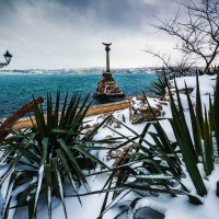 Севастополь в снегу и в пальмах... хочешь верь, а хочешь -- нет ❄ :: Алексей Латыш