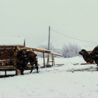 Корабли в снежной пустыне :: Вячеслав Случившийся