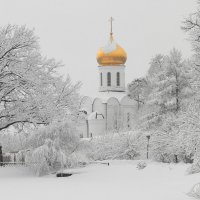 Снежное утро в Угреше :: Евгений (bugay) Суетинов