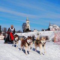 Суздаль. Ильинский луг. Гонки на собачьих упряжках - 2019. :: Валерий Гришин