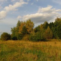 Полгода назад (начало сентября) :: Андрей Лукьянов