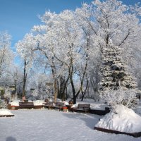 Зимний парк :: Роман Савоцкий