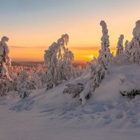 Лапландия :: Владимир Чикота 