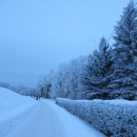 Городской зимний вечерний пейзаж :: Татьяна Гусева