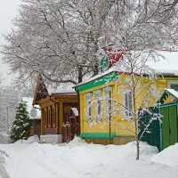 Зима в деревне. :: Инна Щелокова