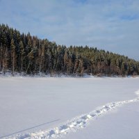 Снежными тропами... :: Алексей Сметкин