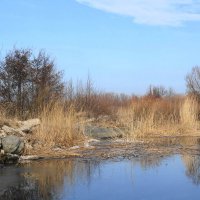 В погожий февральский денёк... :: Маргарита Батырева