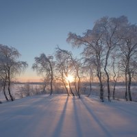 Тишина !!! :: Олег Кулябин