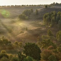 Весенний туман :: Руслан 