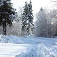 зима :: Владимир Холодницкий