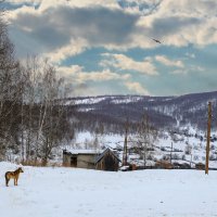 Деревенские просторы :: Алексей Мезенцев