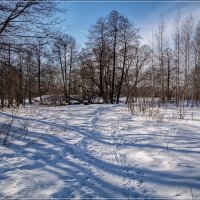 Скоро весна 6 :: Андрей Дворников