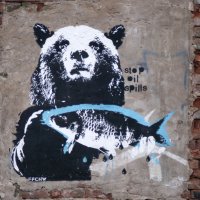 Медведь и рыба :: Виктор Печищев