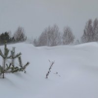 Февральская метель :: Алексей Сметкин