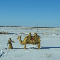 Челябинские аграрии настолько суровы... :: Роман Пацкевич