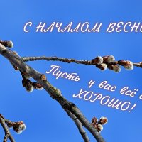 Дождались! :: Татьяна Помогалова