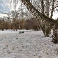 Пргулки в Зимнем Парке :: юрий поляков