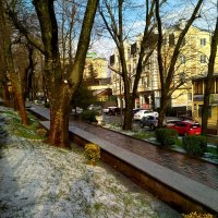 Первый снег за всю зиму. :: Алексей Golovchenko