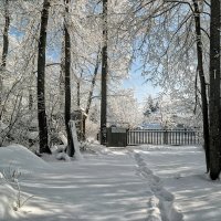 Отвори потихоньку калитку, только снег не забудь отгрести..:-) :: Андрей Заломленков