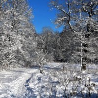 зима :: Владимир Холодницкий