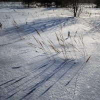 Снежное поле :: Сергей Цветков