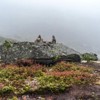 Цвет осени :: Ник Васильев