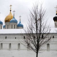 Новоспасский монастырь :: Дмитрий Никитин