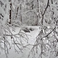 речка под снегом :: Валентина. .