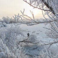 Зимняя рыбалка :: Наталья Ильина